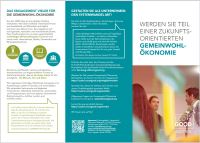 Unternehmensflyer, 500 Stk Version AT